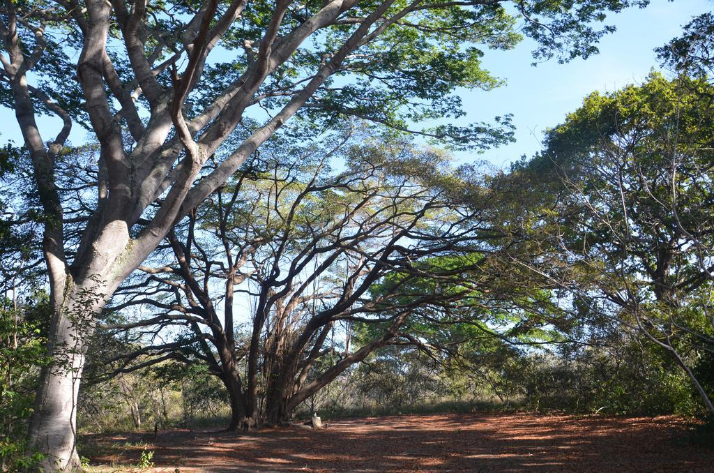 Terras Do Poente Lodge *